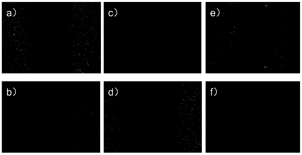 Method for preparing erythrothioneine-containing cosmetic stock solution through hericium erinaceus fermentation