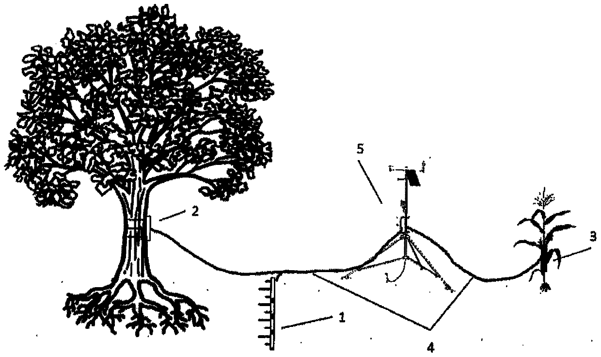 System for measuring evapotranspiration of complex ecosystem and operating method thereof