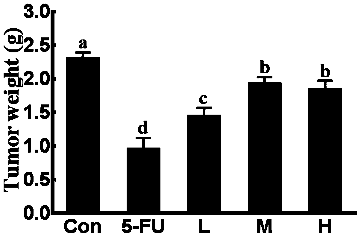 Antineoplastic purpose of taro leaf polysaccharide