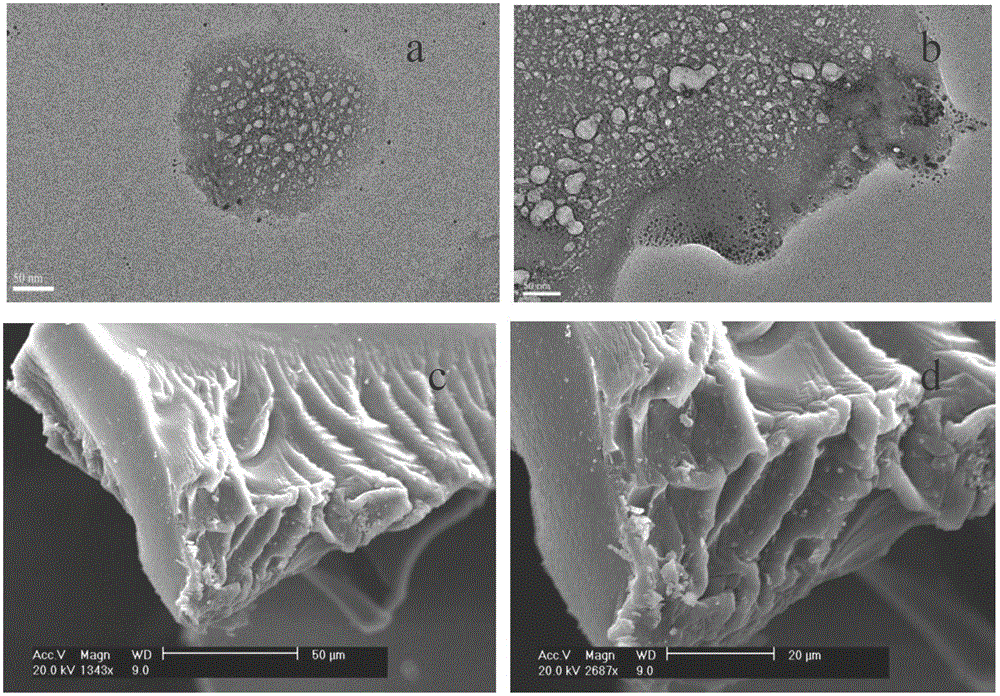 Functionalized polyvinyl alcohol adsorbent for managing heavy metal pollution in water and preparation method thereof