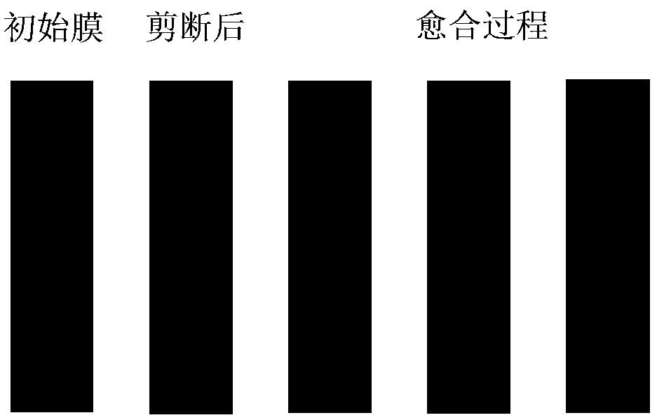 Moisture power generation method and device