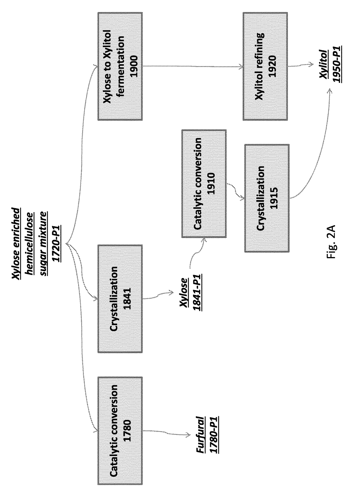 Methods for extracting and converting hemicellulose sugars