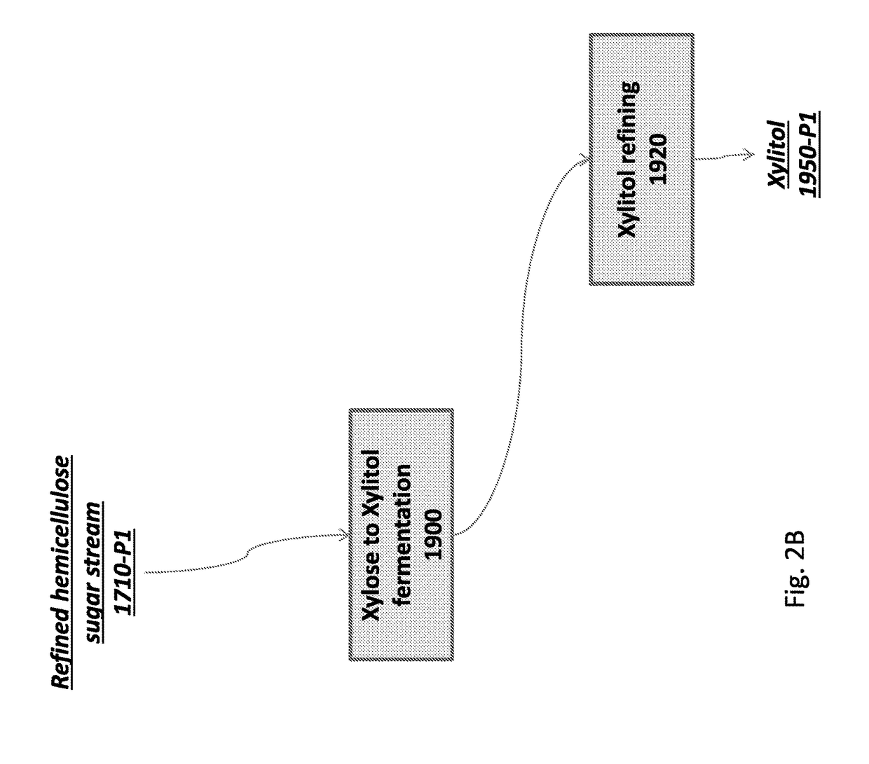 Methods for extracting and converting hemicellulose sugars