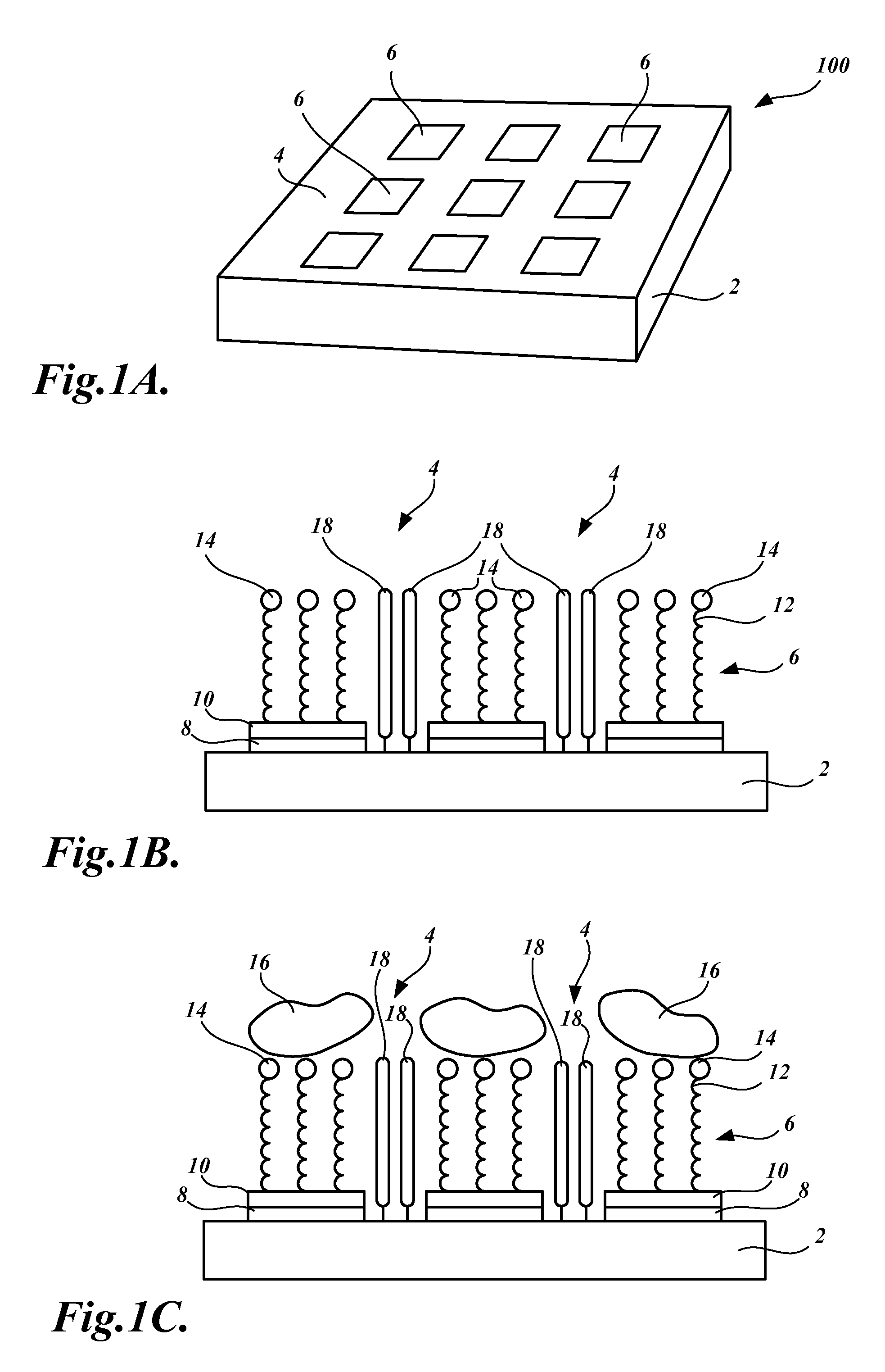 Arrays and methods for guided cell patterning