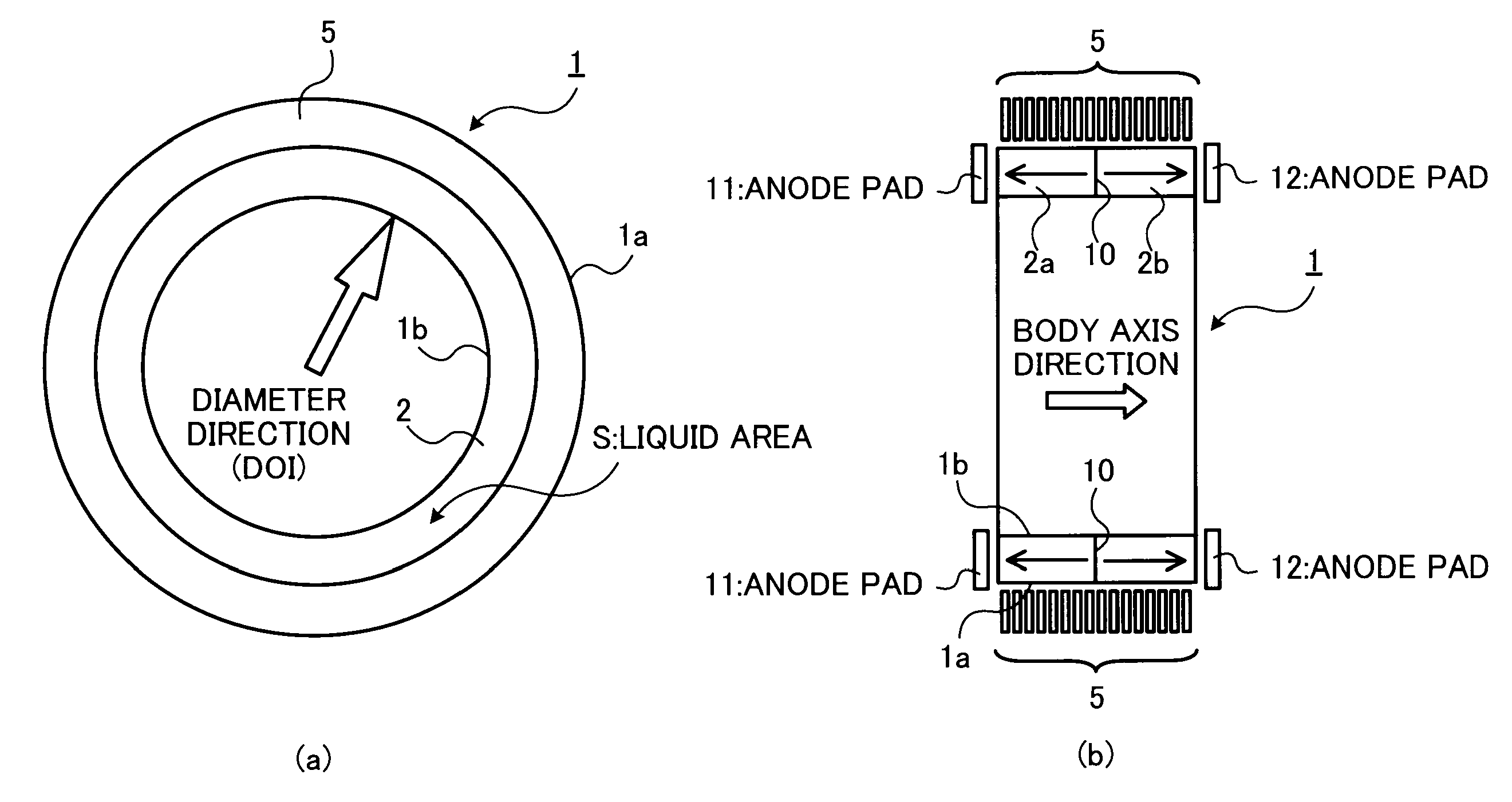 Gamma-ray detector and PET apparatus using the same