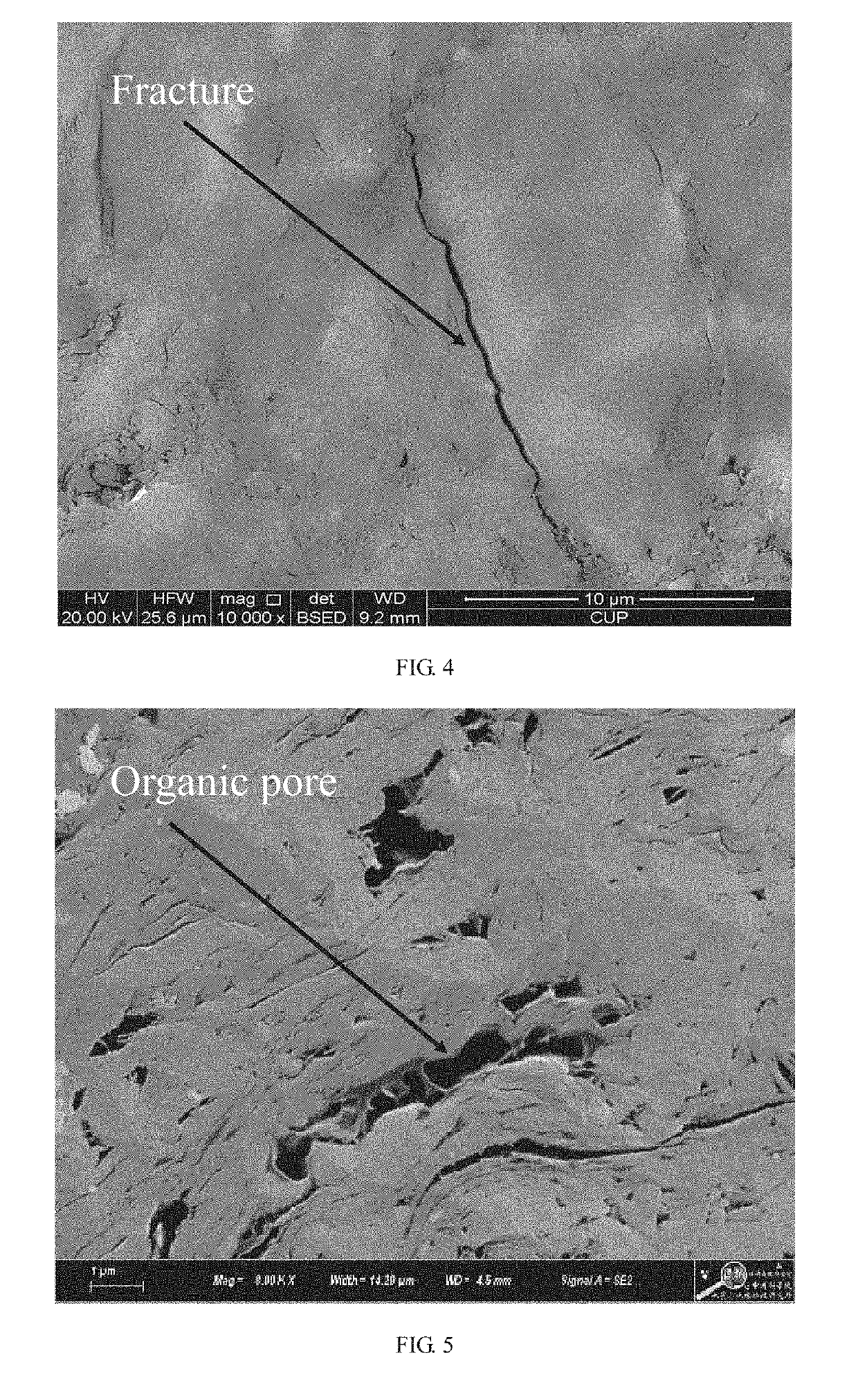 Evaluation method for different types of pore evolution in shale