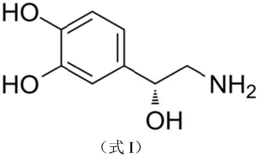 Pharmaceutical new use of norepinephrine