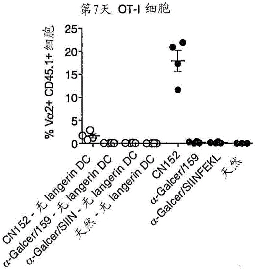 Conjugate compounds