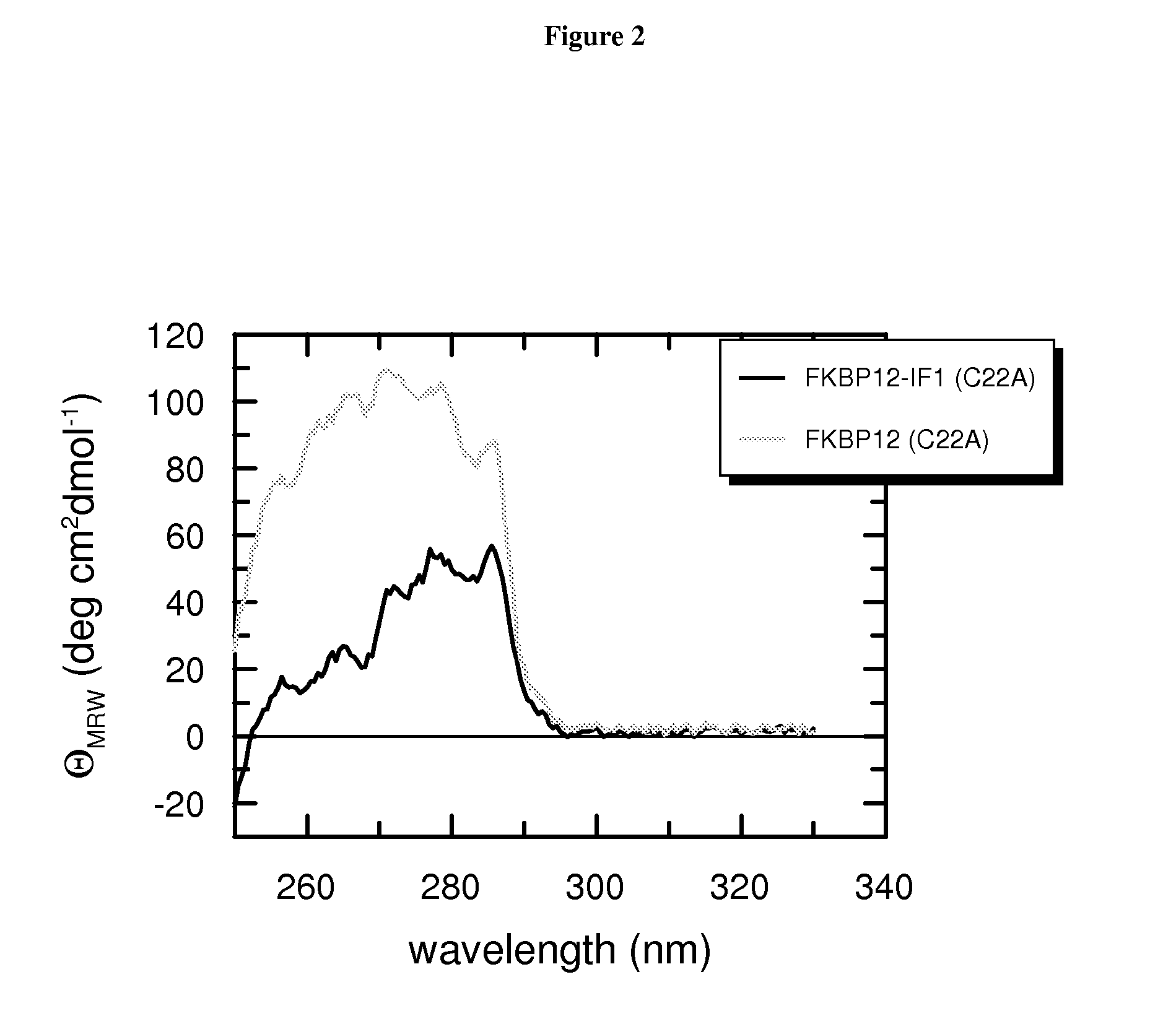 Fusion protein comprising an e. coli chaperone protein and a human chaperone protein