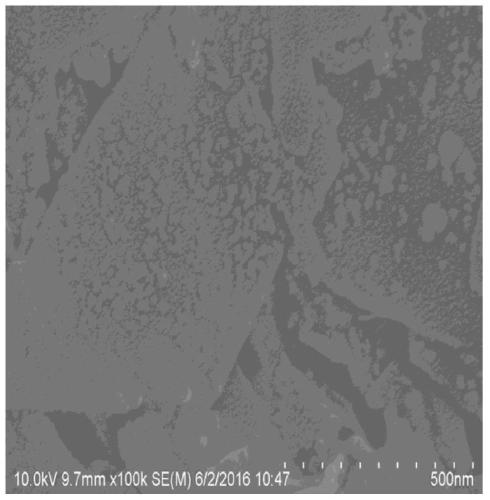 A kind of titanium dioxide/hydroxyapatite composite photocatalytic material, preparation method and application