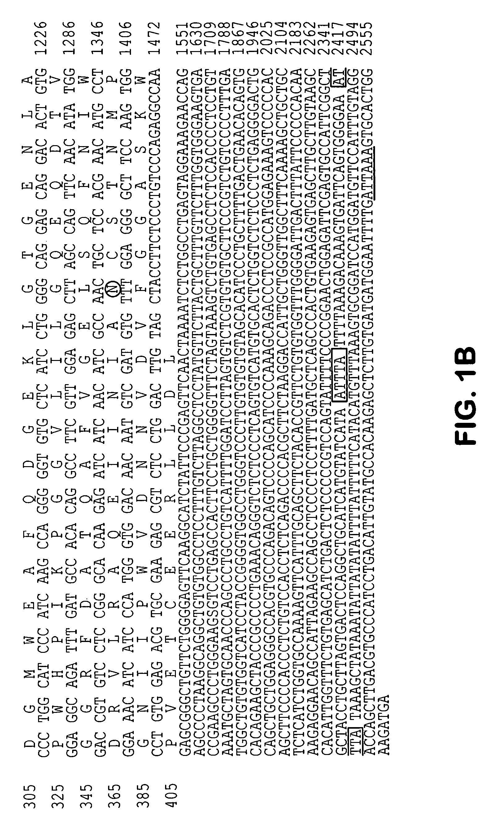 Molecules involved in synaptogenesis and uses therefor