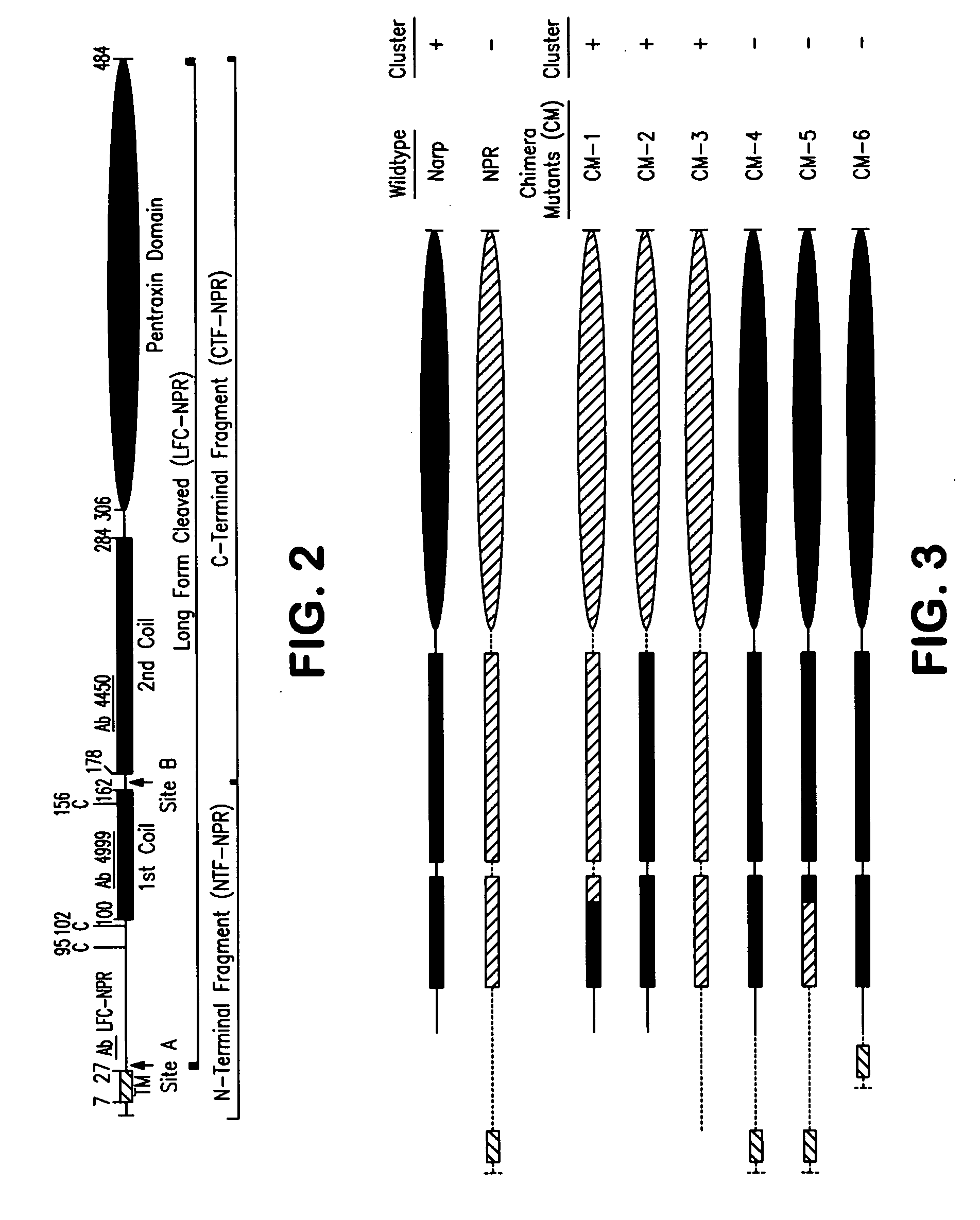 Molecules involved in synaptogenesis and uses therefor