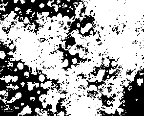 Daptomycin ethosome preparation