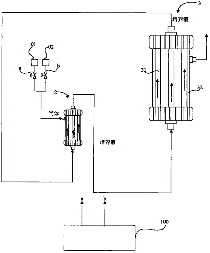 Automatic cell expansion system