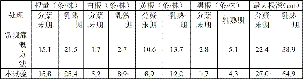 Efficient and environment friendly irrigation method for rices in cold region