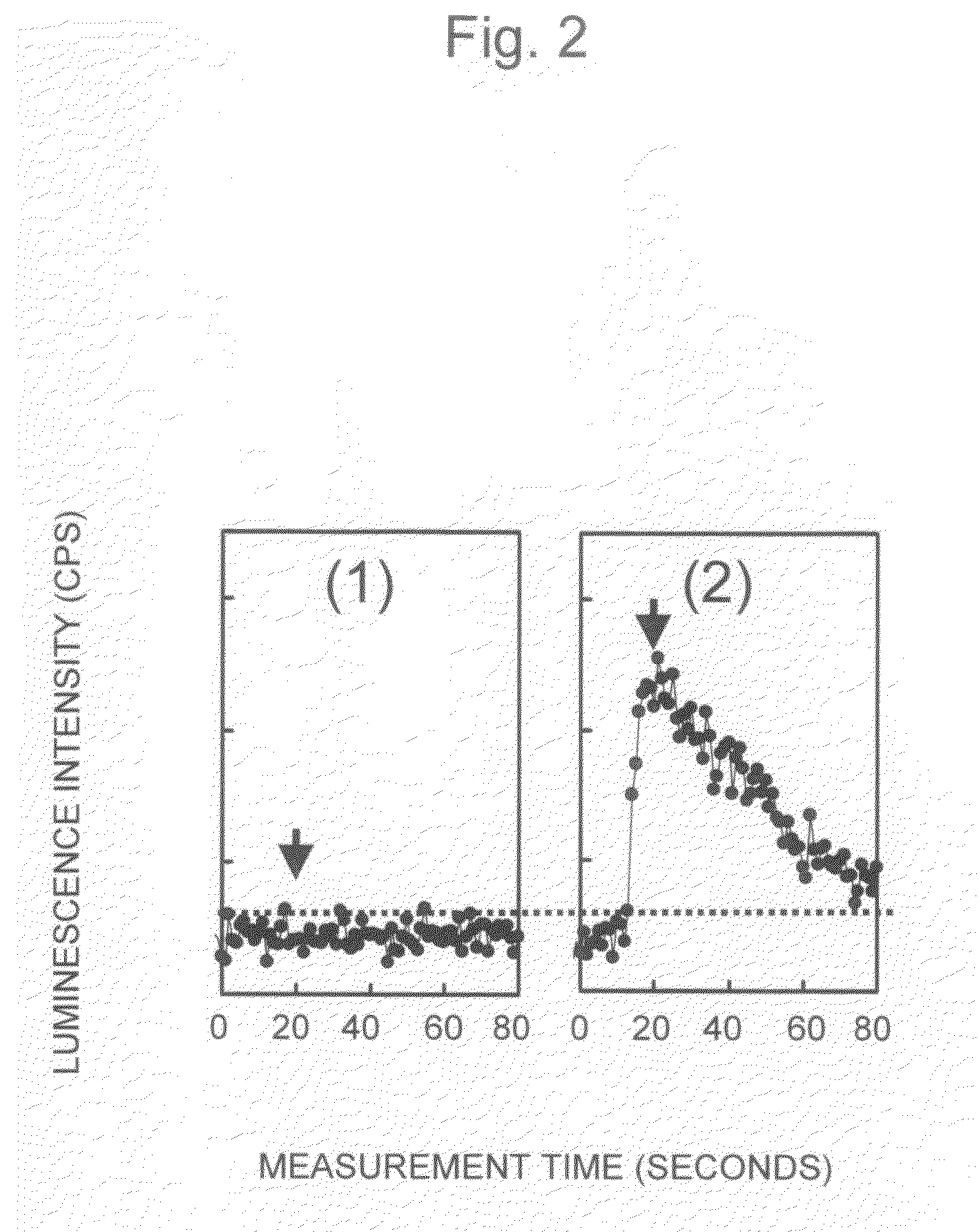 Luminescence measuring apparatus