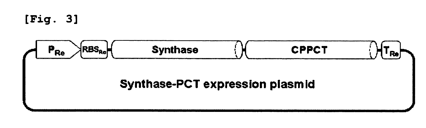 Mutants of pha synthase from pseudomonas sp. 6-19 and method for preparing lactate homopolymer or copolymer using the same