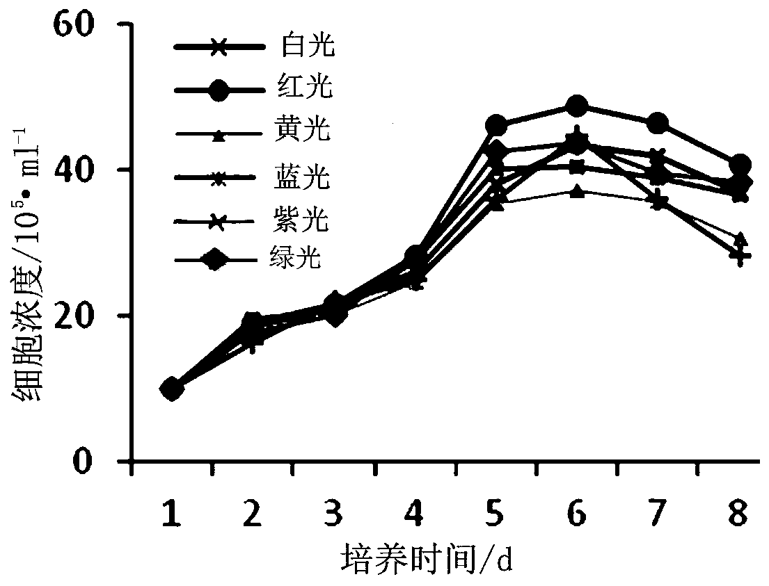 Method for improving content of fucoxanthin in phaeodactylum tricornutum by using purple light