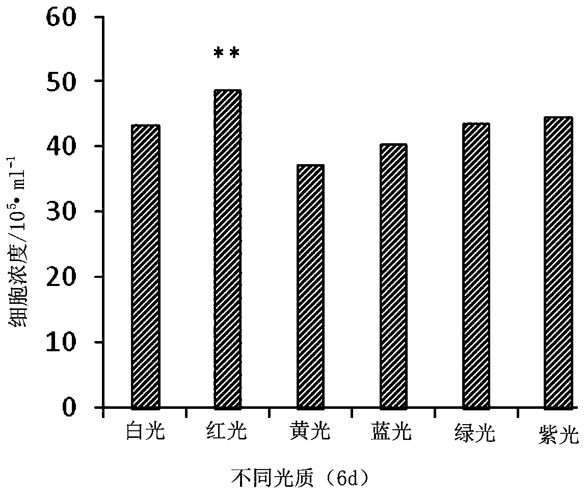 Method for improving content of fucoxanthin in phaeodactylum tricornutum by using purple light