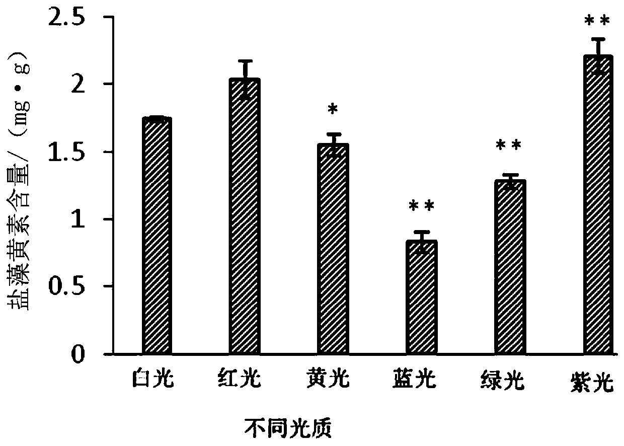 Method for improving content of fucoxanthin in phaeodactylum tricornutum by using purple light