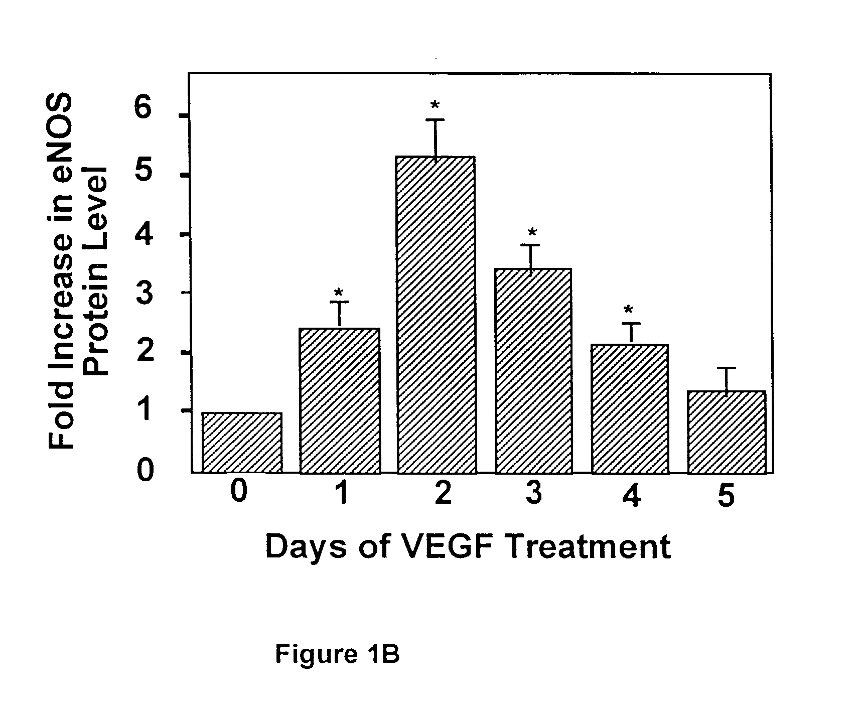 Modulation of eNOS activity and therapeutic uses thereof