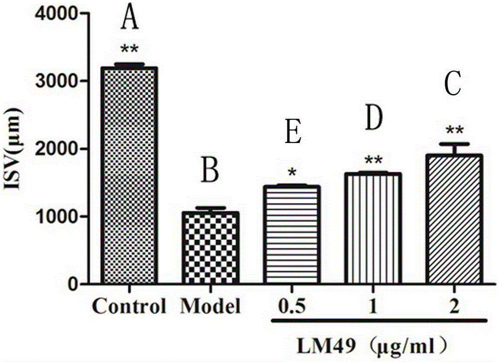 Application of two halogen-phenol compounds to effect of promoting angiogenesis