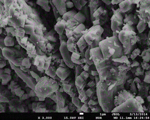 Method for equal molar preparation of lithium iron phosphate by hydrothermal method