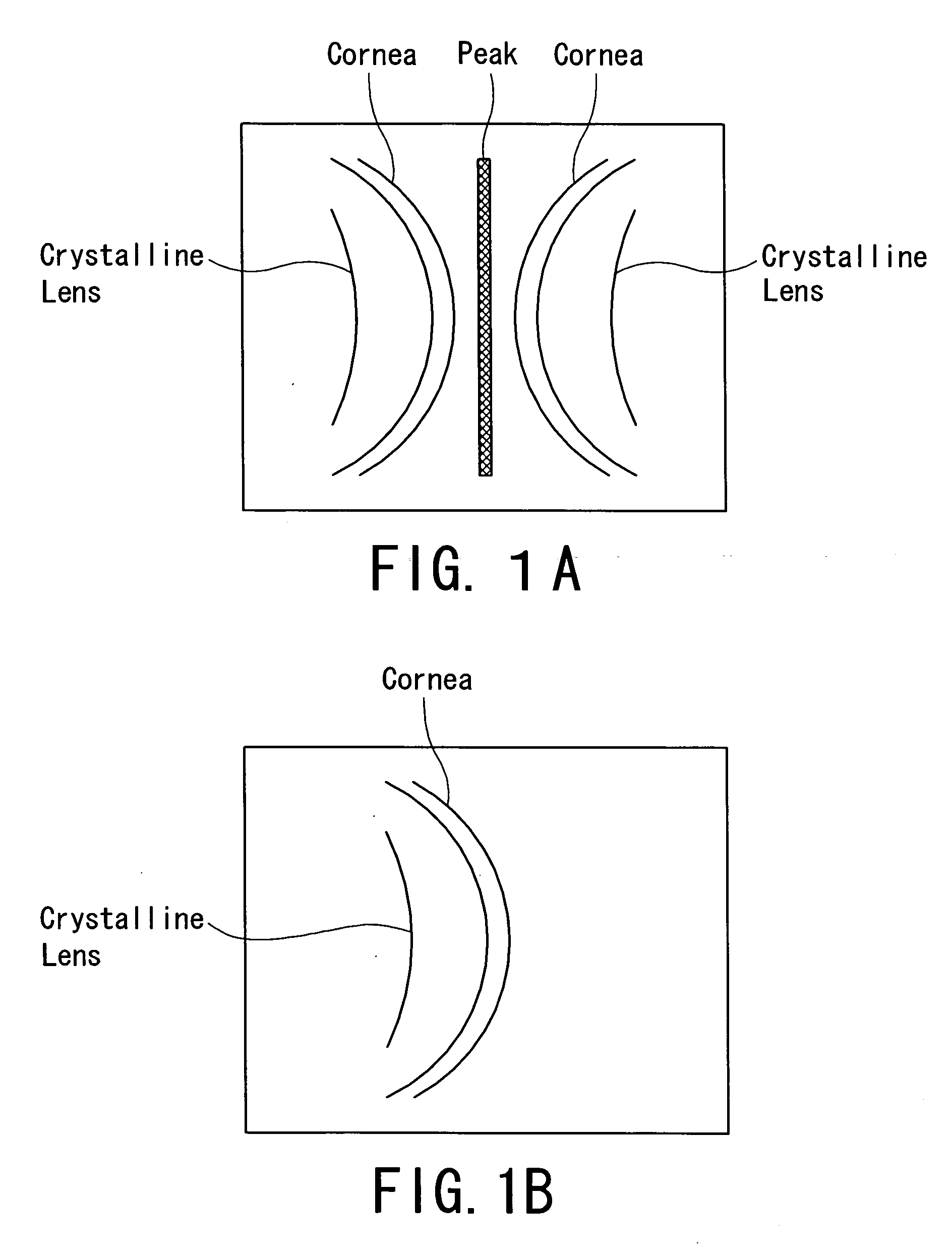 Method and apparatus using optical coherence tomography based on spectral interference, and an ophthalmic apparatus