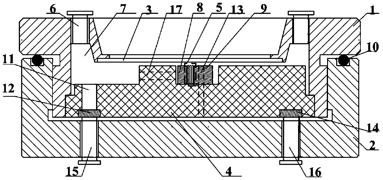 Vertical electrochemical cell setup for in situ photomechanical measurements