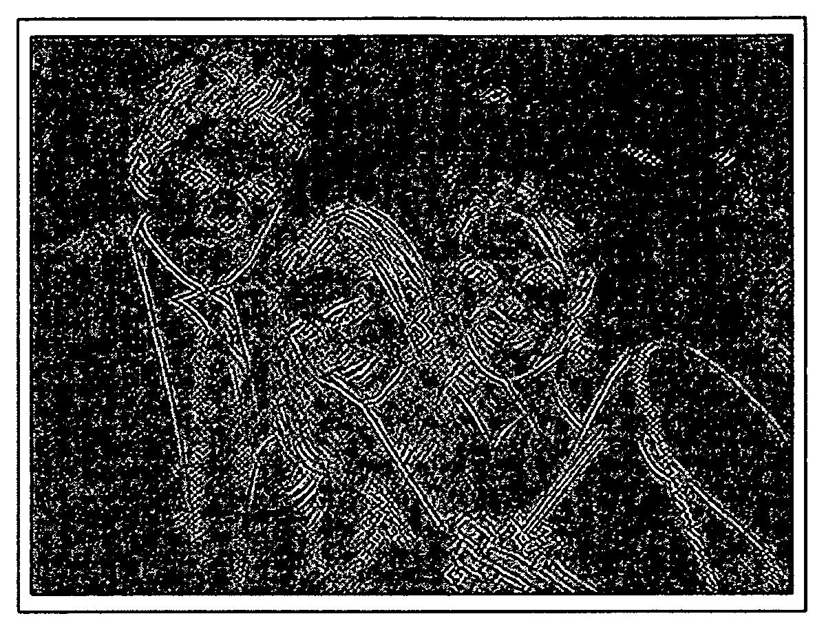 System and method for finding stable keypoints in a picture image using localized scale space properties