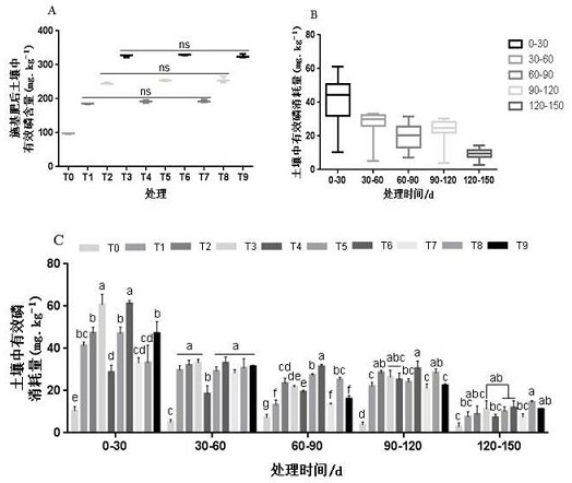 Special fertilizer capable of improving quality of rhizoma atractylodis chinensis and fertilizing method