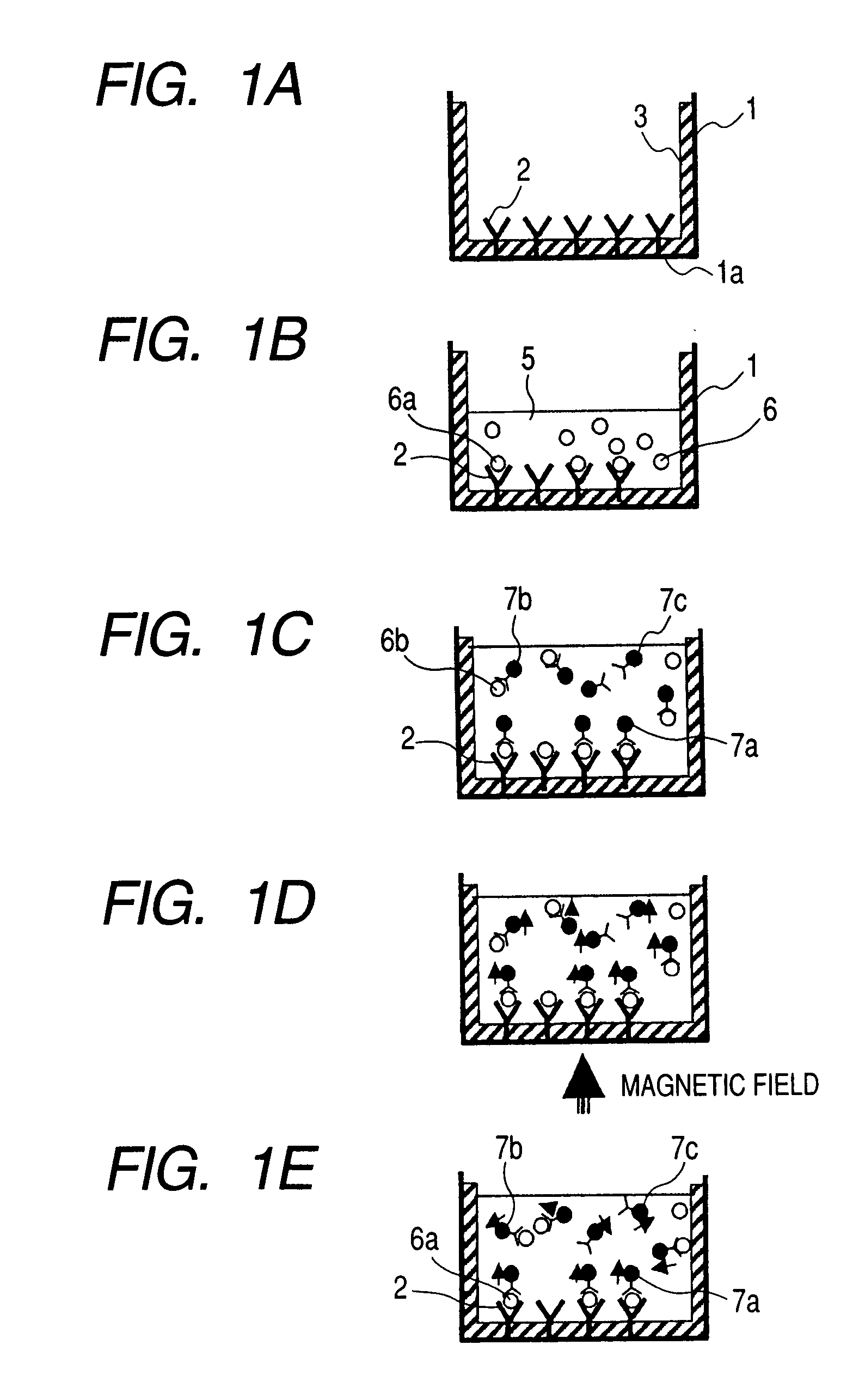 Magnetic immunoassay system