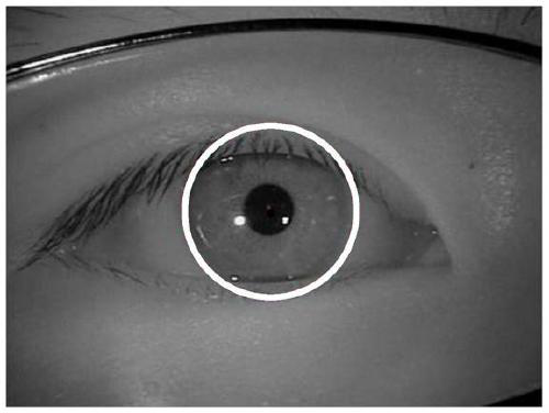 Iris image segmentation method and device