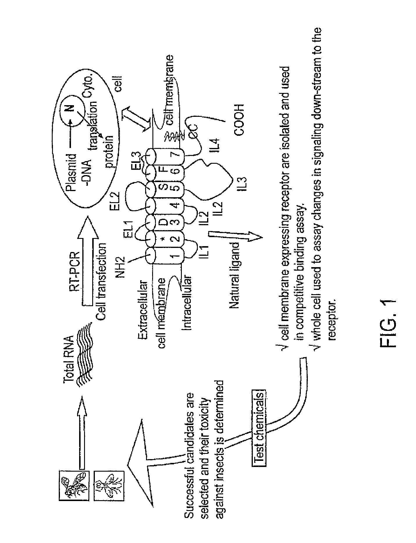 Pest control compositions and methods