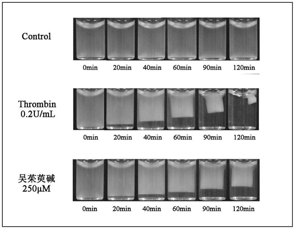 Application of evodiamine in preparation of antiplatelet drugs