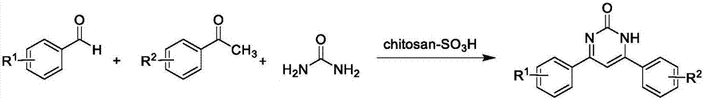 Method for catalytically synthesizing 4,6-diaryl pyrimidine-2(1H)-one derivative by using sulfonic acid functional chitosan