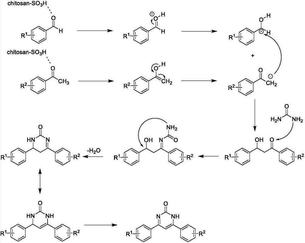 Method for catalytically synthesizing 4,6-diaryl pyrimidine-2(1H)-one derivative by using sulfonic acid functional chitosan