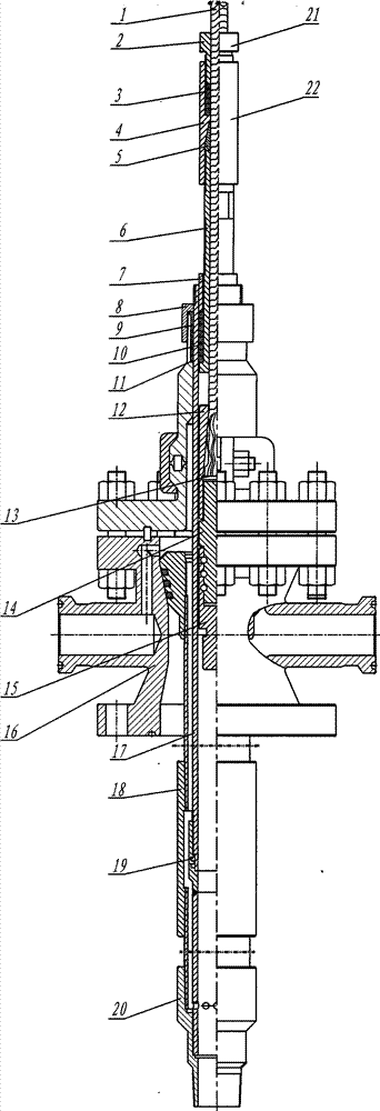 Double-sealing packing box for oil field wellhead and wellhead double-sealing method