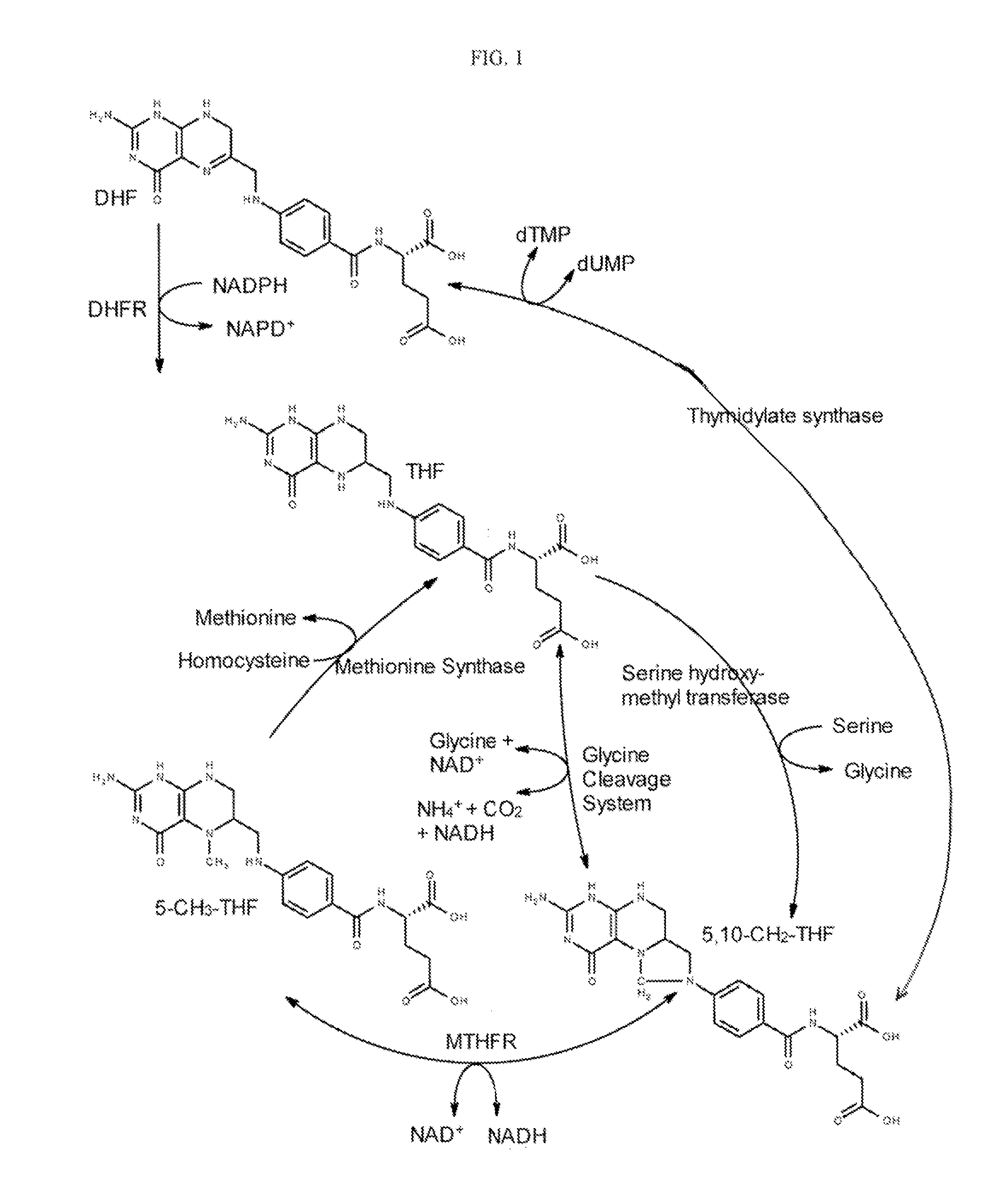 Multiple folate formulation and use thereof