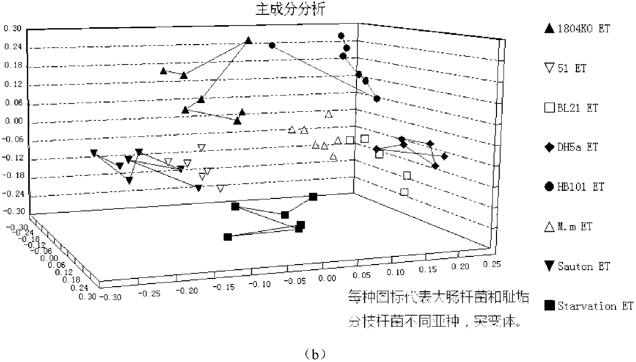 Application of naphthylethylenediamine inorganic acid salt or Naphthylethylenediamine organic acid salt as matrix in MALDI MS (matrix-assisted laser desorption/ionization mass spectrometry)