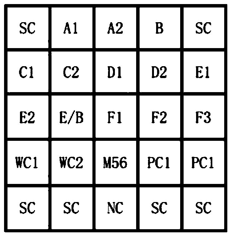 Primer and probe combination and application for Chlamydia psittacosis genotype detection