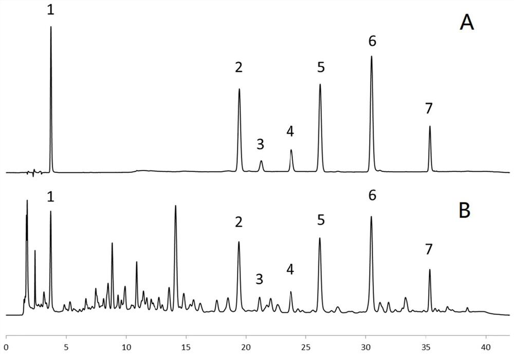 Content determination method for Sedum aizoon medicinal material and product thereof