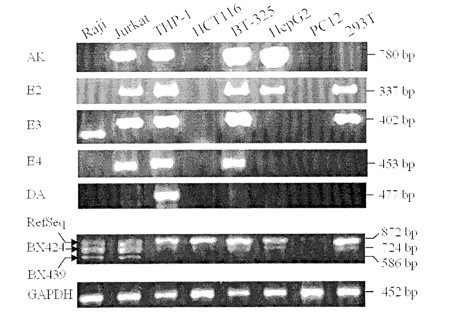 Applications of TRAIL truncated mutant in activating NF-kappaB and in inflammatory responses