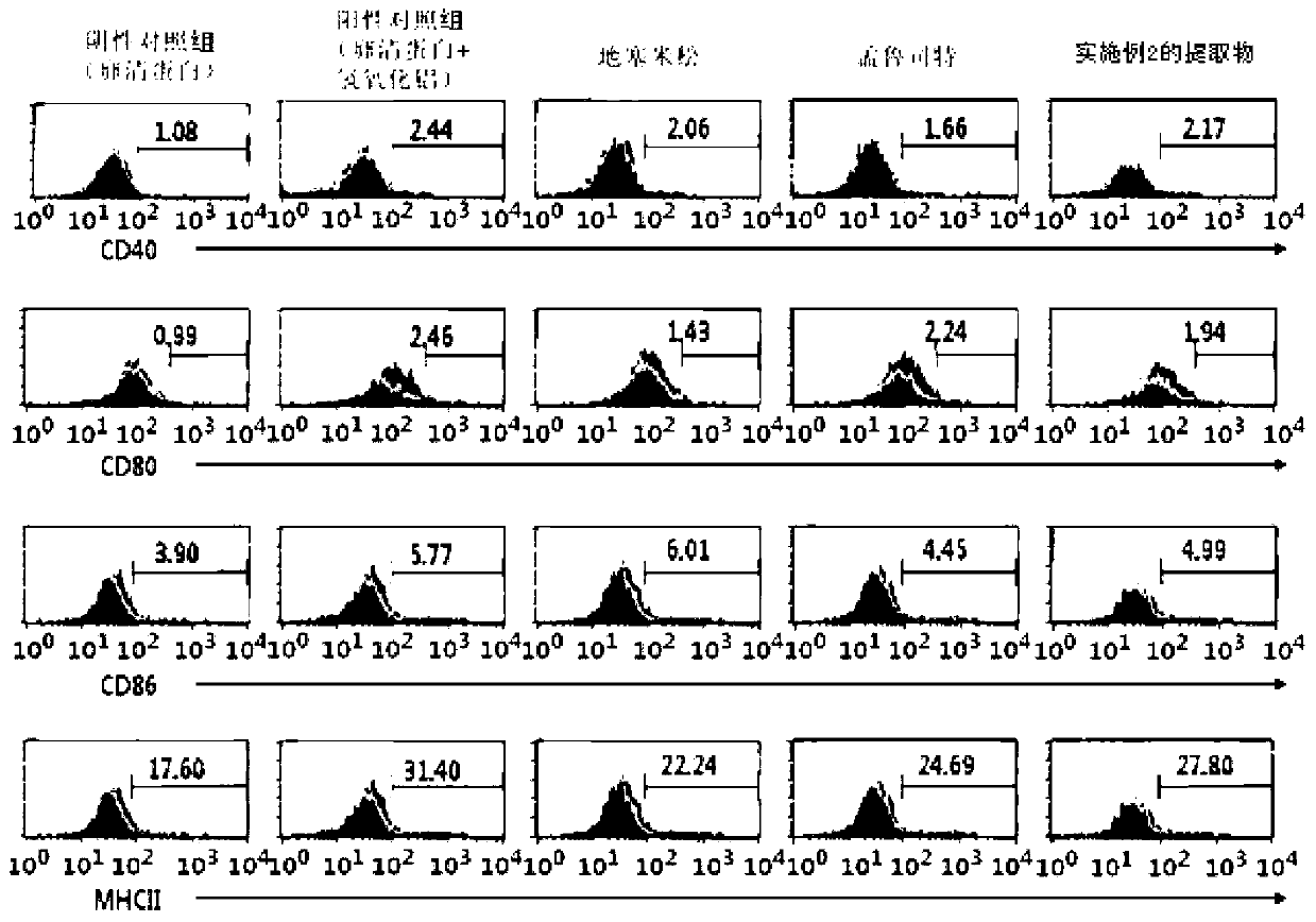 Composition for preventing or treating a respiratory disease containing a mixed herbal extract of cnidium officinale root and polygoni cuspidati root