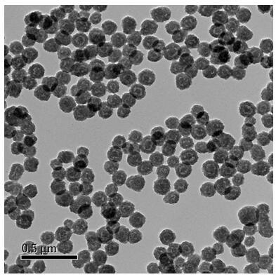 Manganese carbonate/polyamino acid composition and preparation method thereof