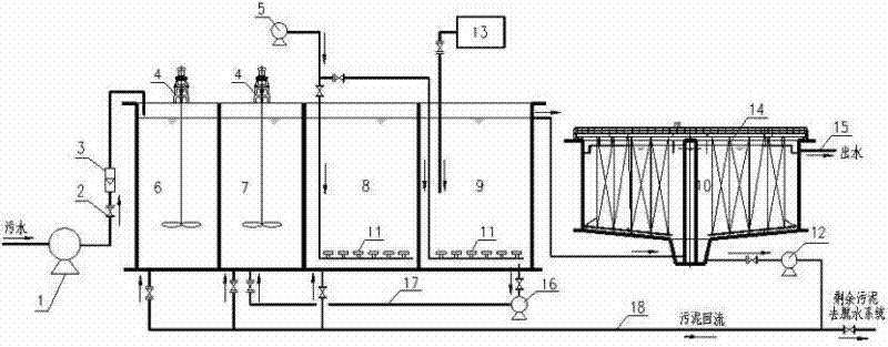 System and process for sludge in situ decrement enhanced by utilizing metazoan and application of process