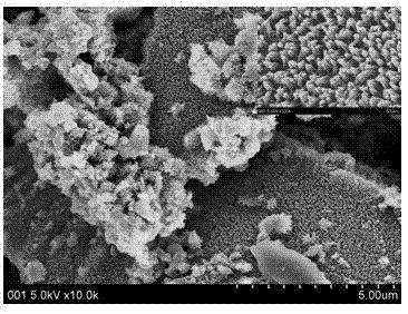 Method for preparing double-meso-pore ordered mesoporous carbon/ polyaniline nanometer line composite materials and application thereof