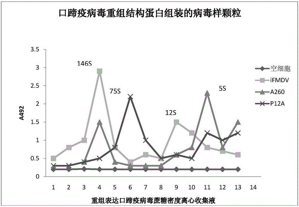 Foot and mouth disease virus-like particle vaccine and preparation method thereof