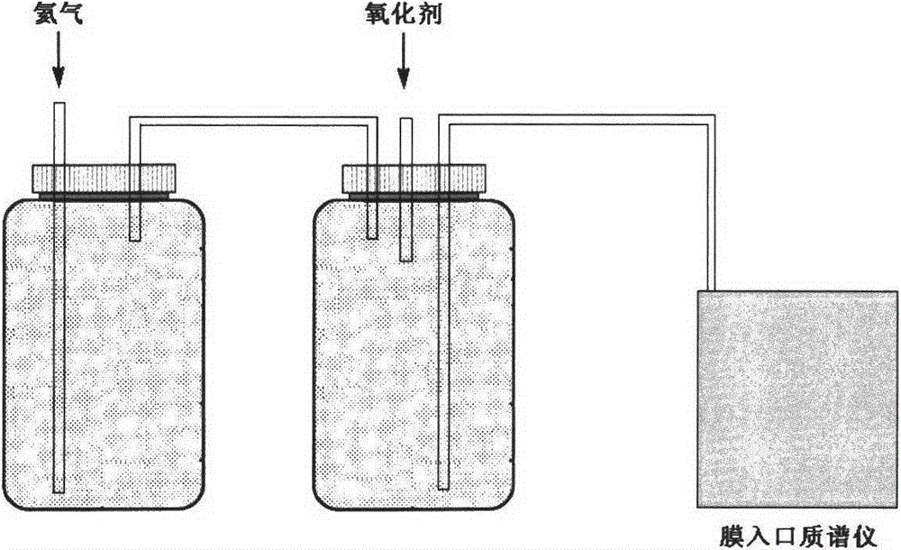 Membrane entrance mass spectrometer based method for analyzing content of dissolved nitrogen isotope