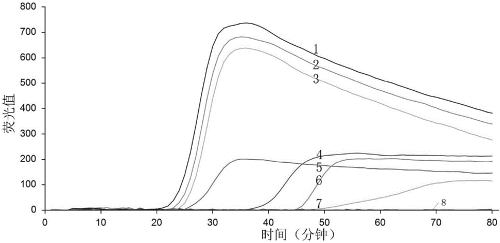 Ustilaginoidea virens spore real-time quantification loop-mediated isothermal amplication detection method and kit